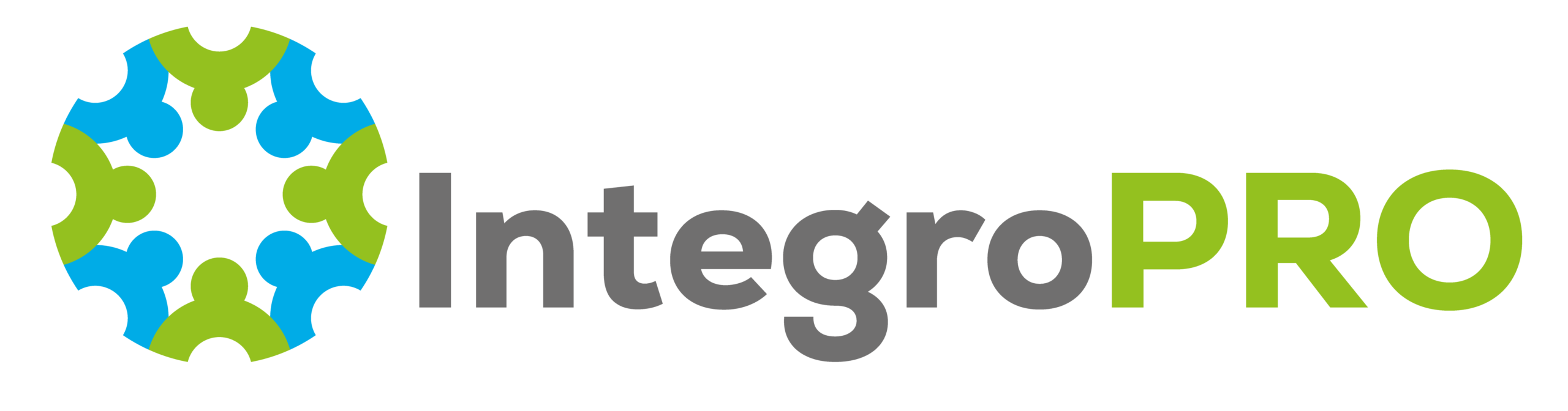 Logo IntegroPRO Scaled